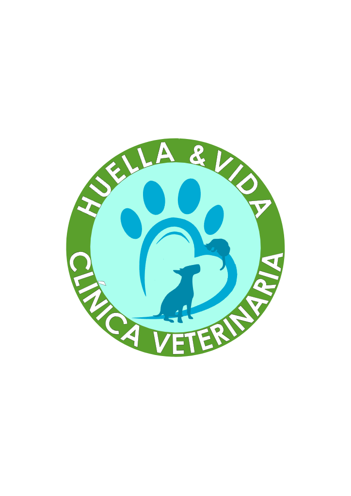Huella y Vida Logo