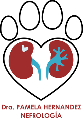 Dra. Pamela Hernández - Nefrología